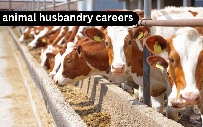 Animal Husbandry