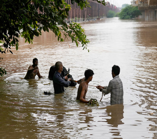 rajghat.png