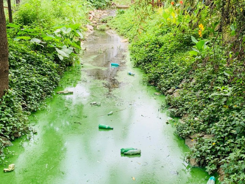 हिल स्टेशन माउंट आबू की खूबसूरती में दाग लगा रही यह अनदेखी