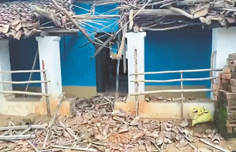 Elephant broke 6 houses and destroyed crops