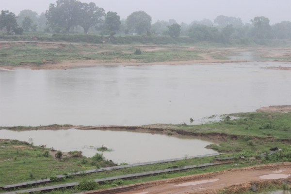 हरियर हरेली तिहार के रंग... 