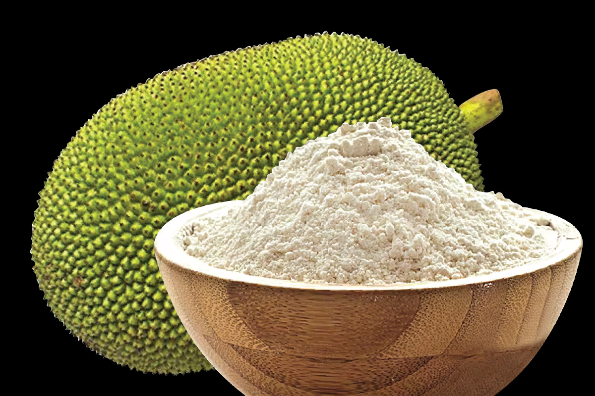 jackfruit-flour.jpg