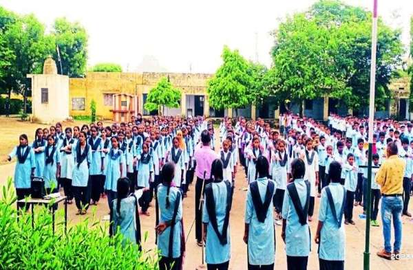 Planting saplings somewhere