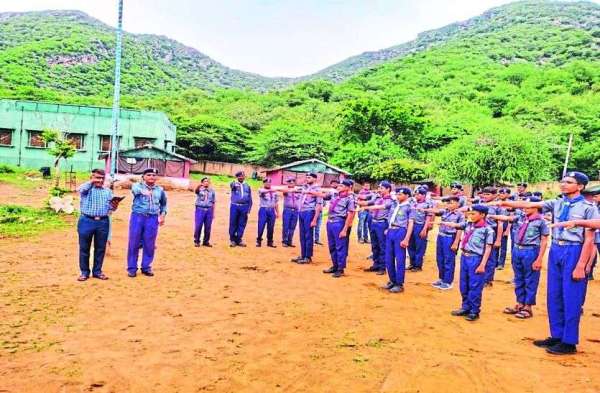 Planting saplings somewhere