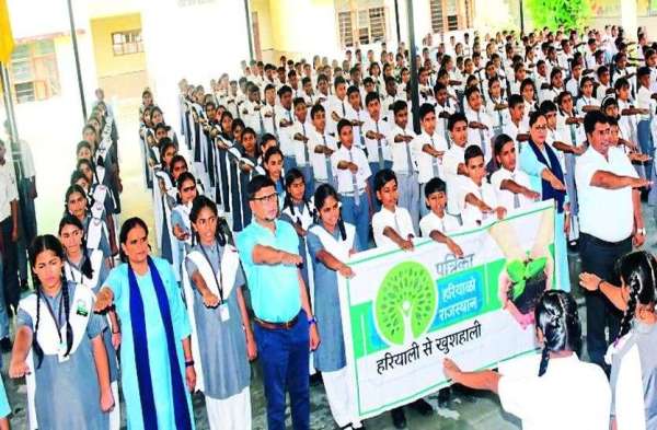 Planting saplings somewhere