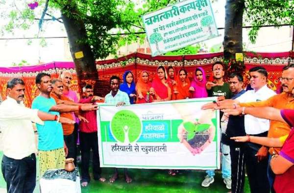 Planting saplings somewhere