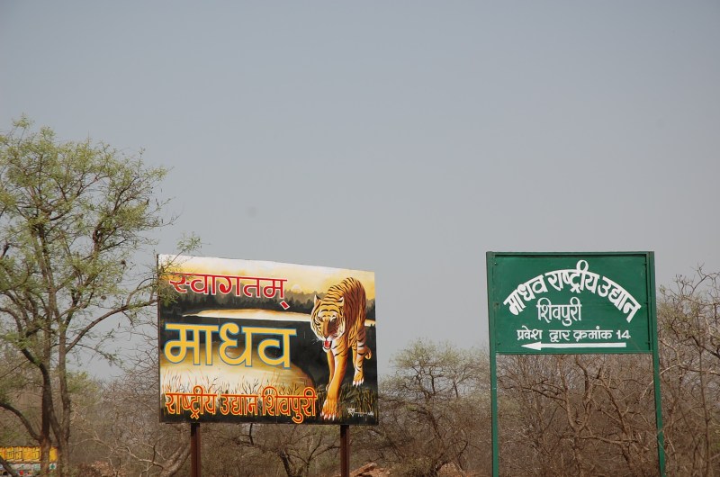 माधव नेशनल पार्क बनेगा देश का 54वा टाइगर रिजर्व