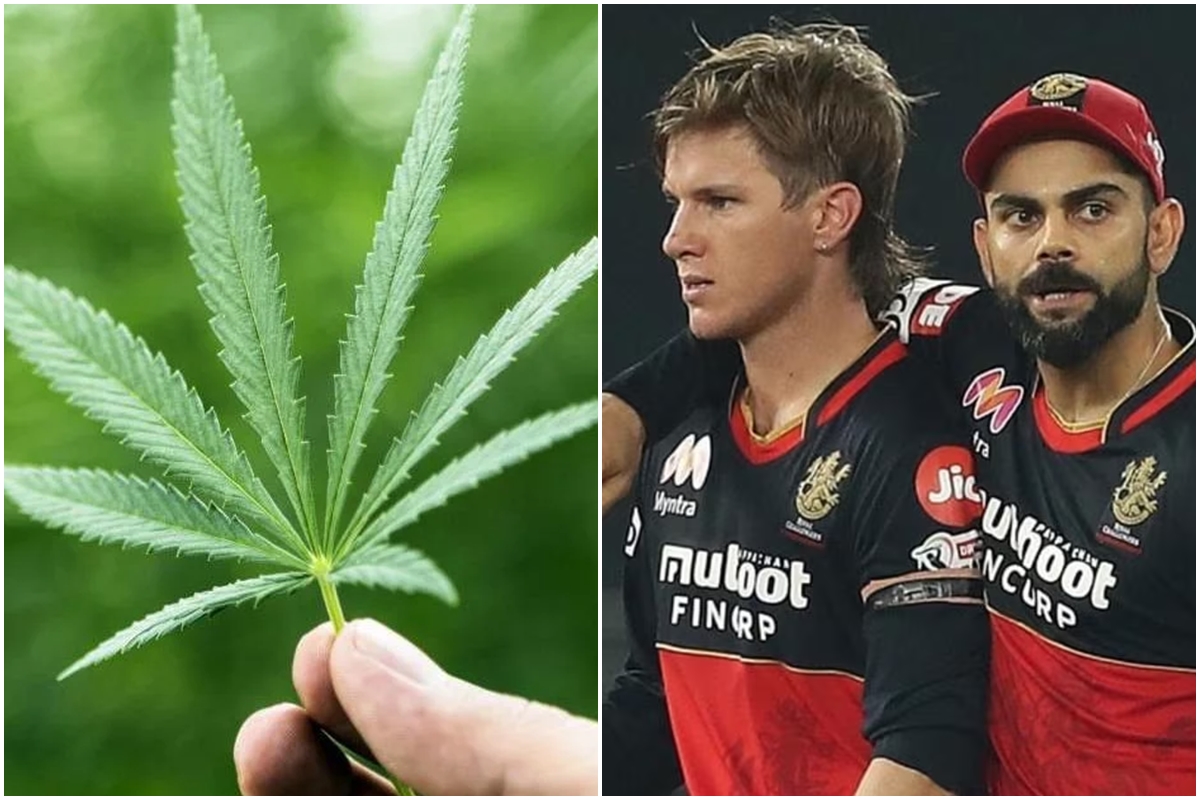 zampa_virat.jpg