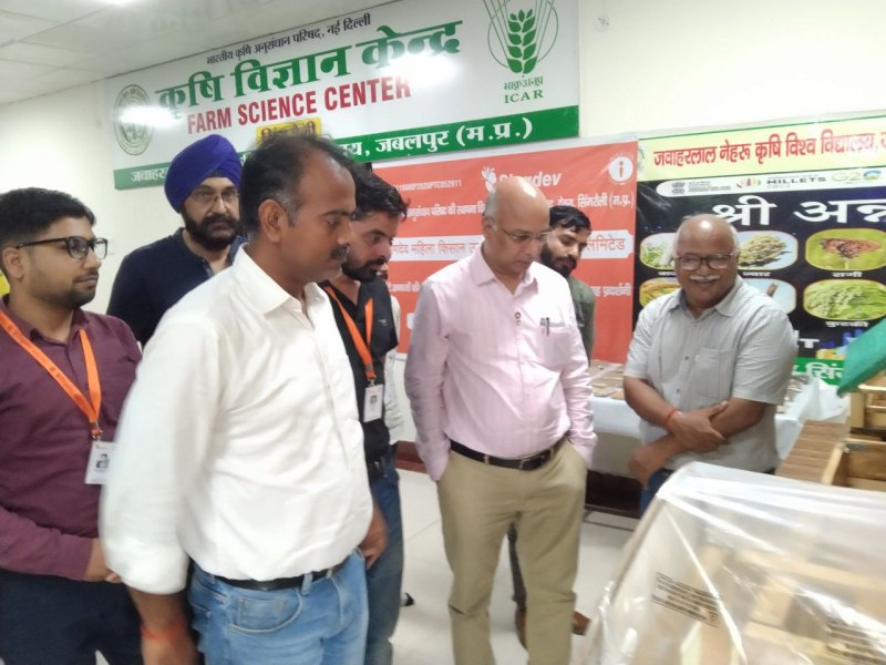 diabetes and heart disease, kodo kutki milltes also reduce cancer