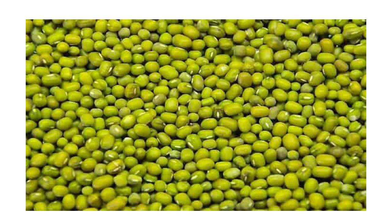 सरकारी मूंग खरीदी में दलाली-भ्रष्टाचार....तुलाई पर्ची के नाम पर मांगे थे 4 हजार रुपए, दलाल पर केस दर्ज