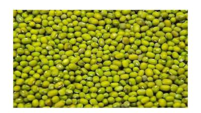 सरकारी मूंग खरीदी में दलाली-भ्रष्टाचार....तुलाई पर्ची के नाम पर मांगे थे 4 हजार रुपए, दलाल पर केस दर्ज