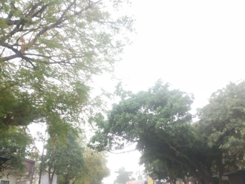 UP Weather Update: इन जिलों में भीषण गर्मी के आसार, गर्मी को लेकर यूपी में IMD का रेड अलर्ट