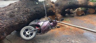 रात में तेज हवा के साथ हुई जमकर बारिश, बिजली गुल होने से छाया अंधेरा