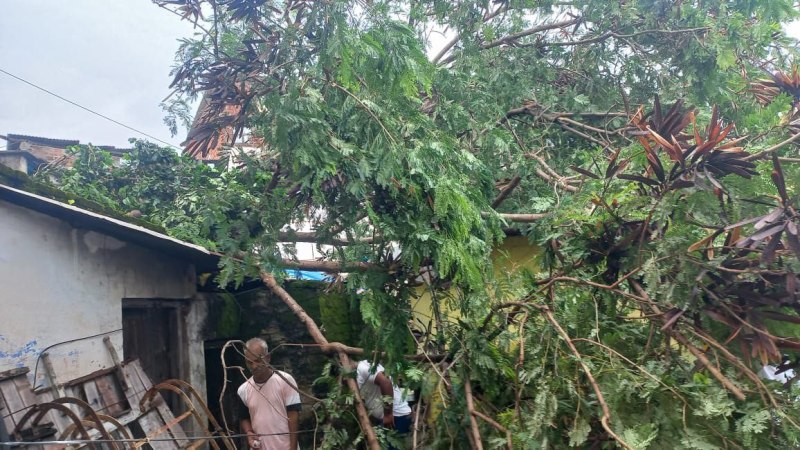 आसमान से बरसी आफत, 15 बार गुल होती रही बिजली, गिरे पेड़ और टीन की छतें