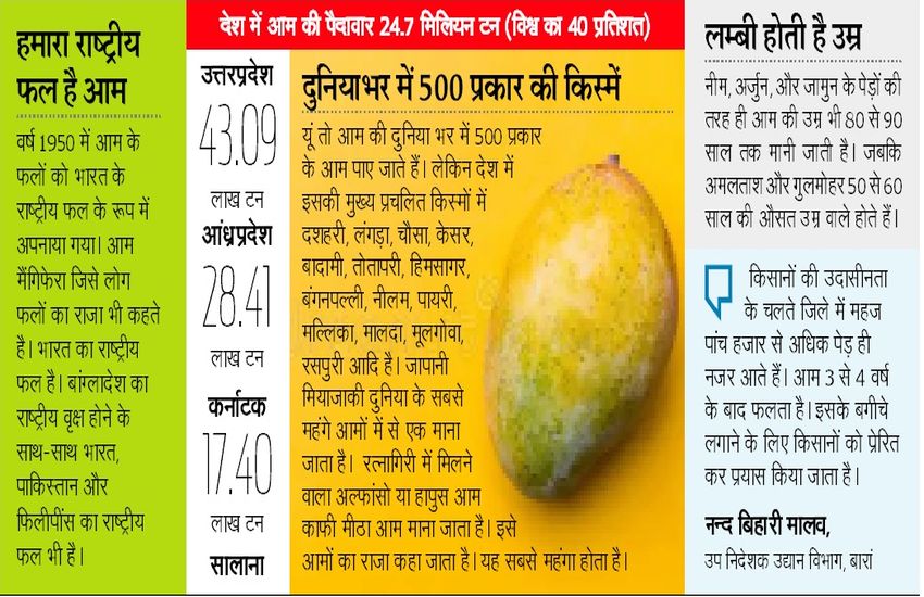 national mango day : मल्लिका, रसपुरी, बंगनपल्ली, हिमसागर... कभी खाया क्या?