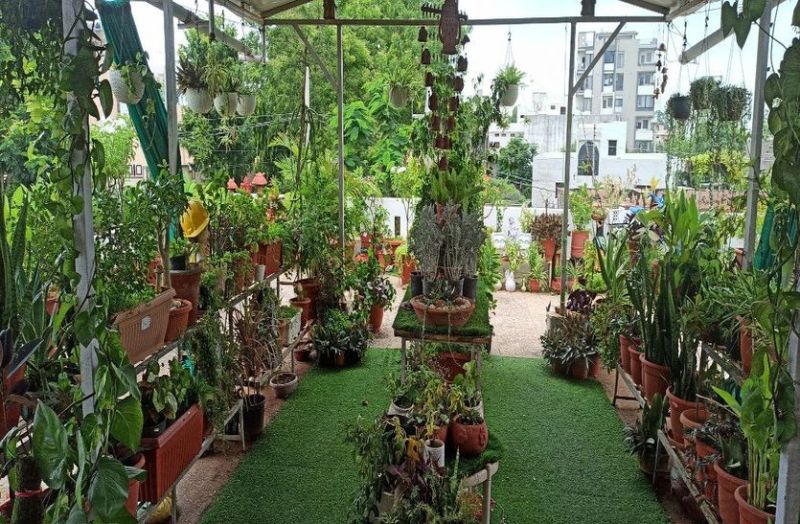 कोरोना काल में कर दिया ऐसा कमाल, अब ताउम्र का मिल गया सुकून