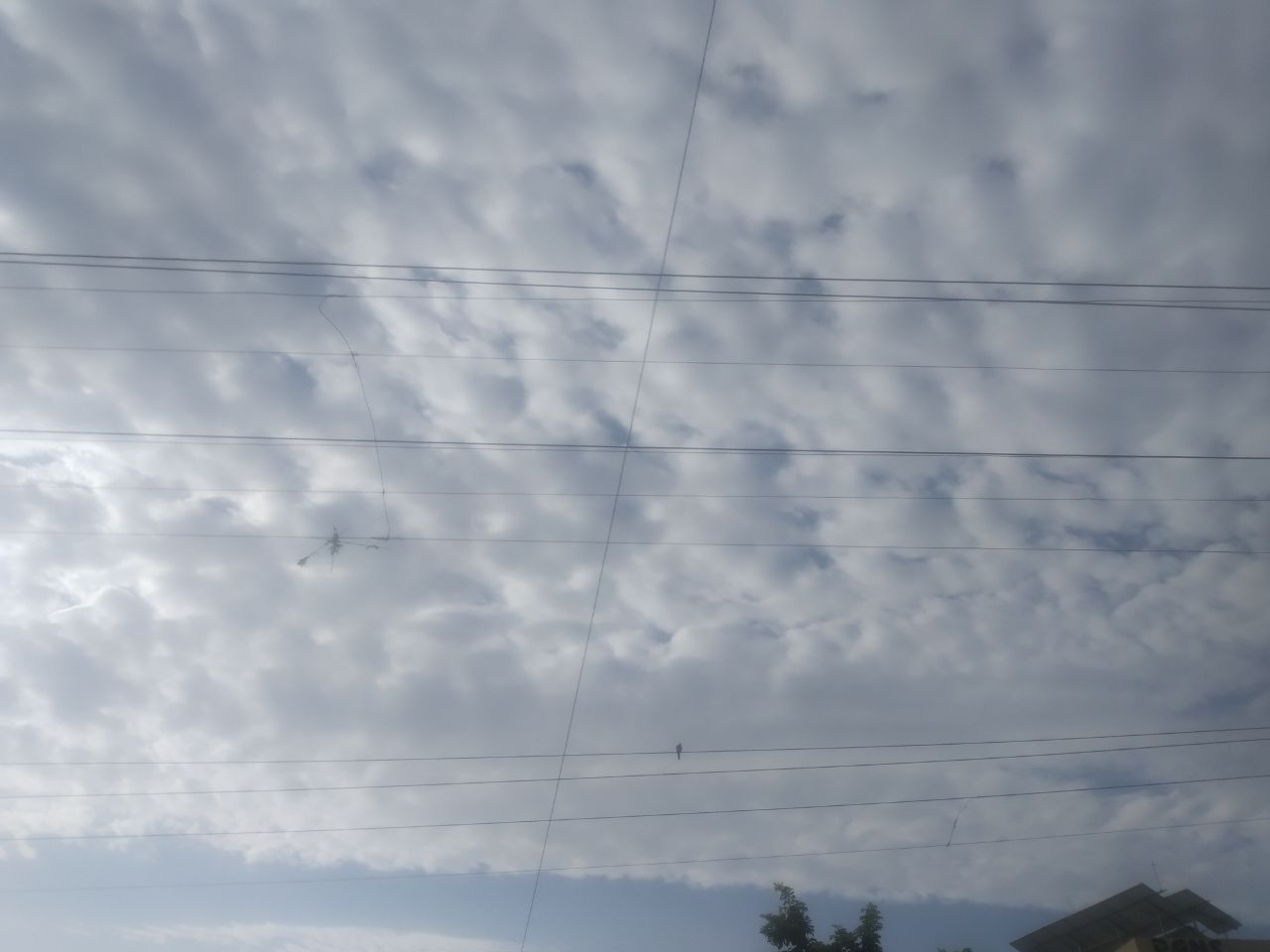 UP Weather 8 घंटे के भीतर यूपी के इन जिलों में भीषण बारिश, मिलेगी उमस और गर्मी से निजात