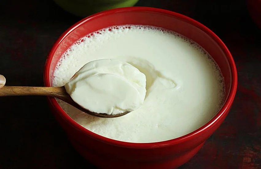 curd.png
