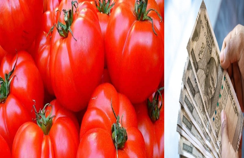 Vegetable Price Today: कहां जा कर रुकेगा टमाटर का दाम ! आने वाले हफ्ते में इतना होगा रेट, रहें तैयार