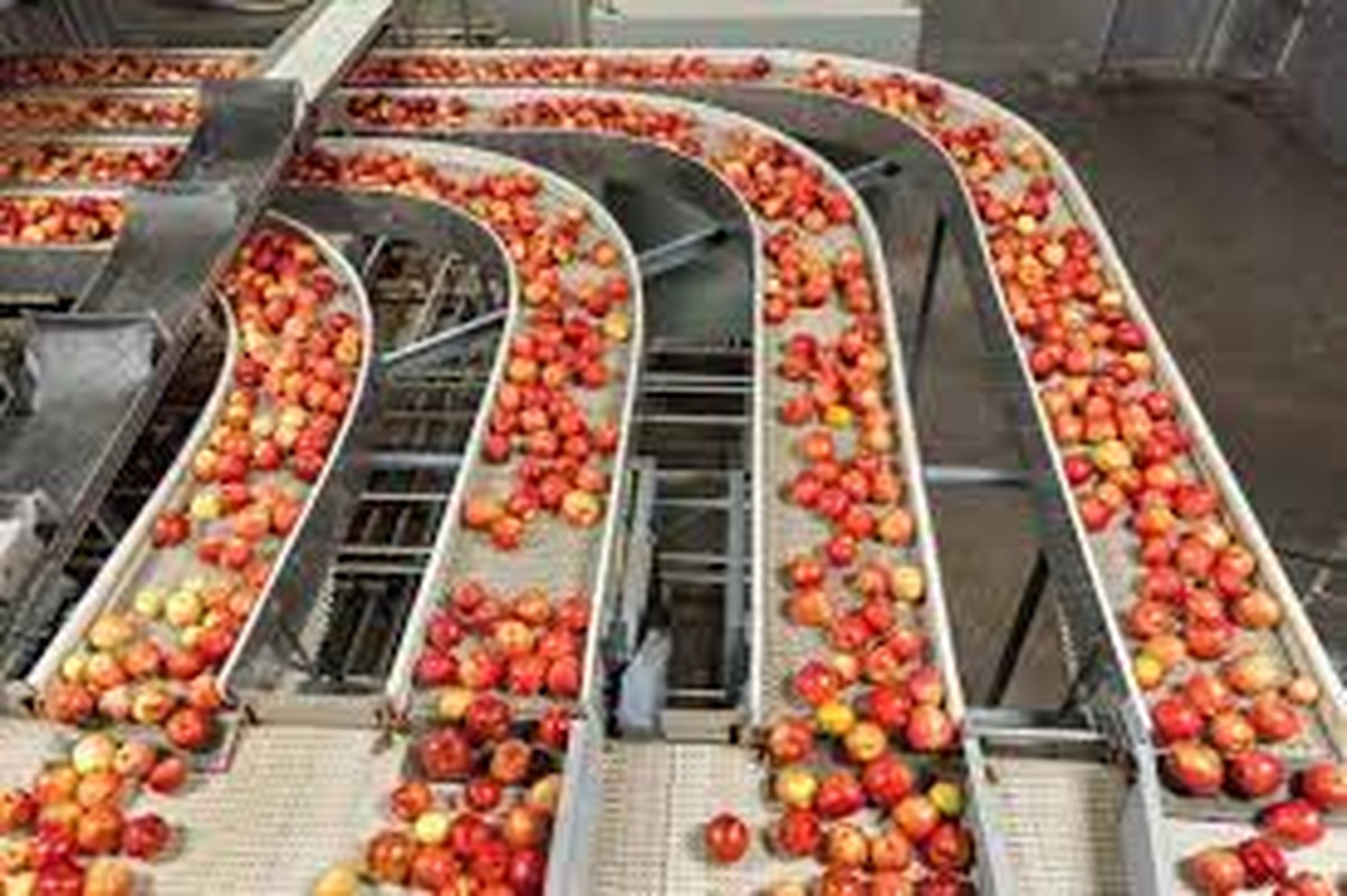 MEGA FOOD PARK: 100 करोड़ के प्रोजेक्ट को डीपीआर का इंतजार