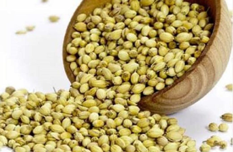 Coriander Price: जीरे के बाद अब धनिये की बारी...15 दिन में 10 फीसदी महंगा