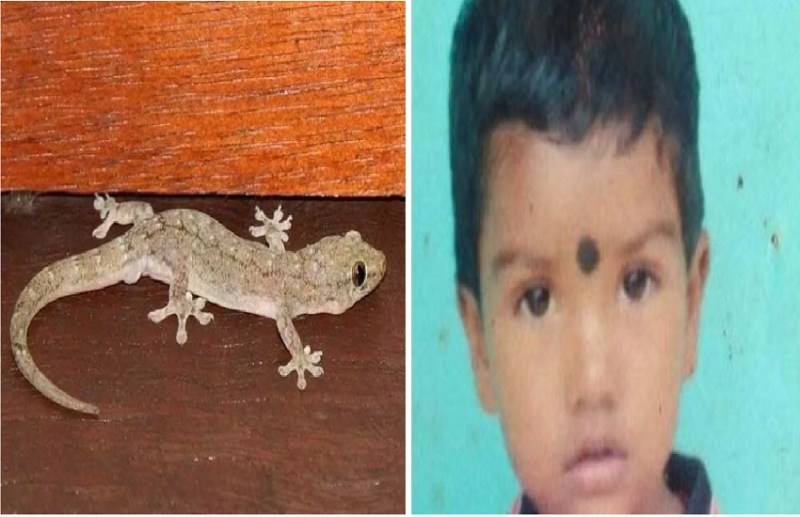 Lizard enters mouth of sleeping 3-year-old, dies