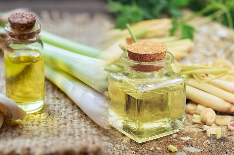 lemongrass-oil-benefits.jpg