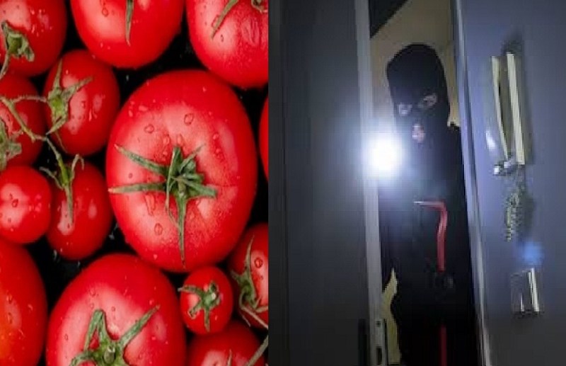 सोना, चांदी, हीरा, मोती के बाद अब टमाटर की हुई चोरी, एफआईआर दर्ज, पुलिस चोरों की तलाश में जुटी