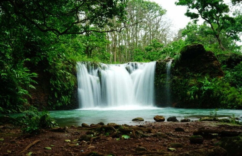 "मैनपाट " के नजारे पर्यटकों का मन मोह लेती है