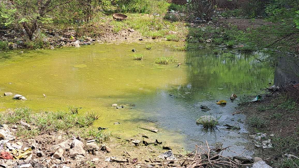 ऐसा जलभराव लार्वा पनपने का बन रहा जरिया