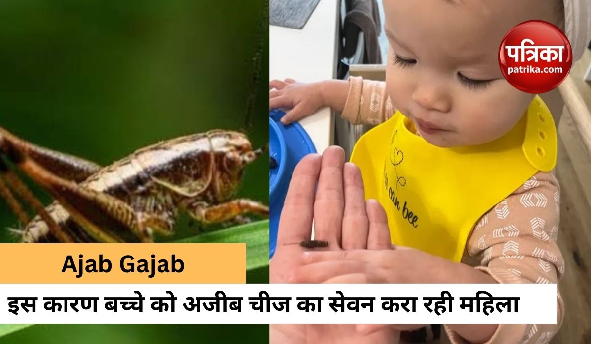 mother_feeding_worm_to_her_own_child_told_the_surprising_reason.jpg