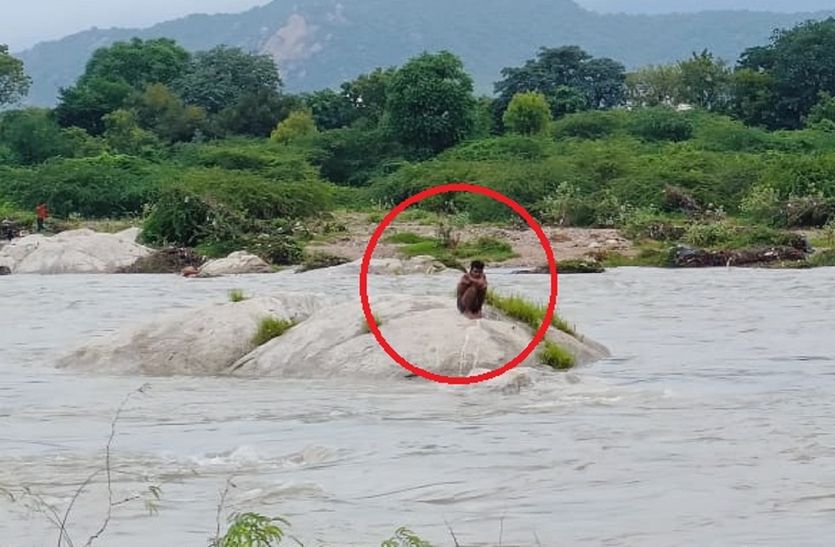 Rajasthan: नदी में नहाने गया युवक बहकर 500 मीटर दूर दूसरी नदी में पहुंचा, चार घंटे तक चट्टान पर बैठकर बचाई जान, किया रेस्क्यू