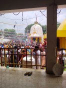 Electric wire fell in Devtalab Shiv temple, 50 devotees injured
