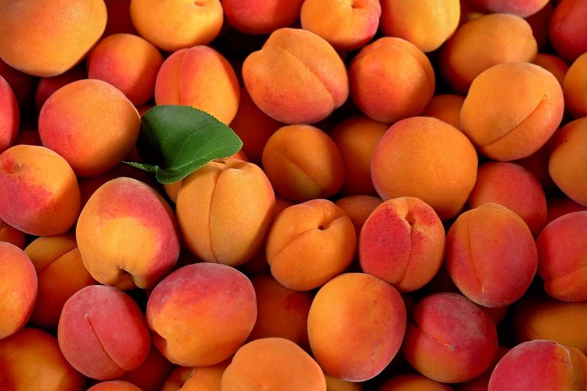 apricots_benefits.jpg