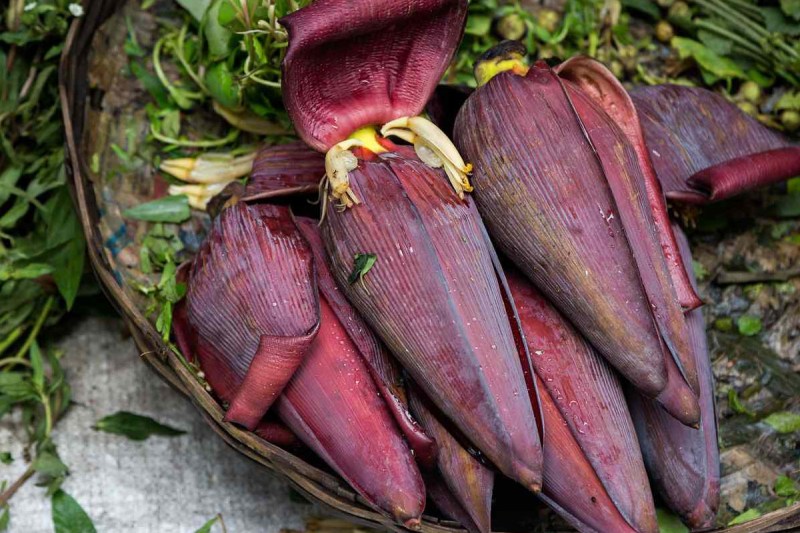 banana-flower.jpg