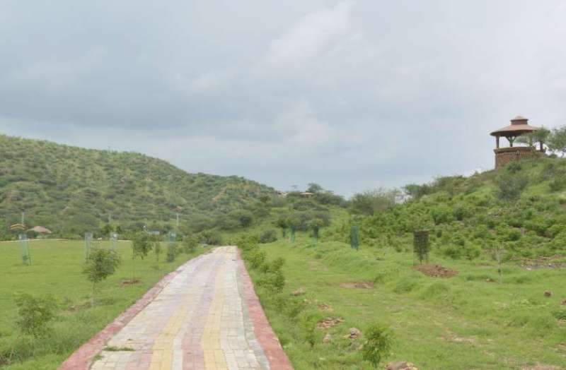 Beauty: Flora and Fauna in Mahatma Gandhi City Forest garden