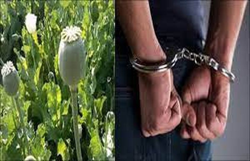 एंबुलेंस में मरीज नहीं, निकला डोडा चूरा