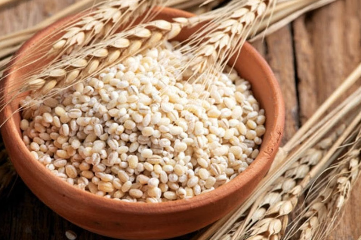 benefits_of_barley.jpg