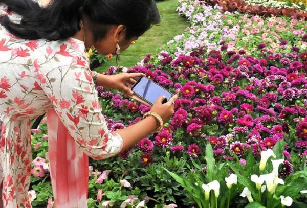 फ्लावर शो 