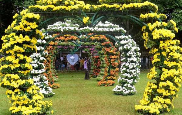 फ्लावर शो 