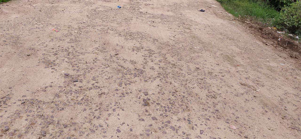 करीब डेढ वर्ष पहले बनी सड़क के हाल