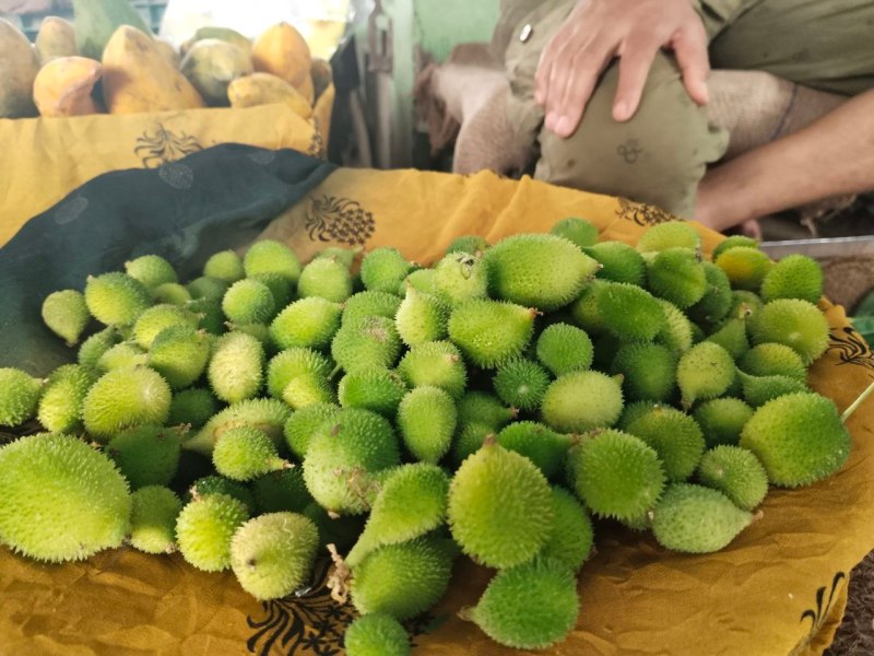 Kakoda is completely organic, also rich in nutrients