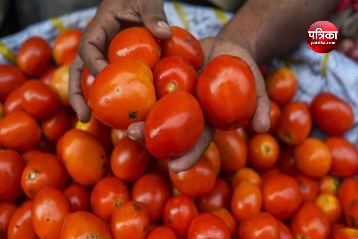 Tomatoes selling Rs 200 per kg in market price fixed looking at distance 