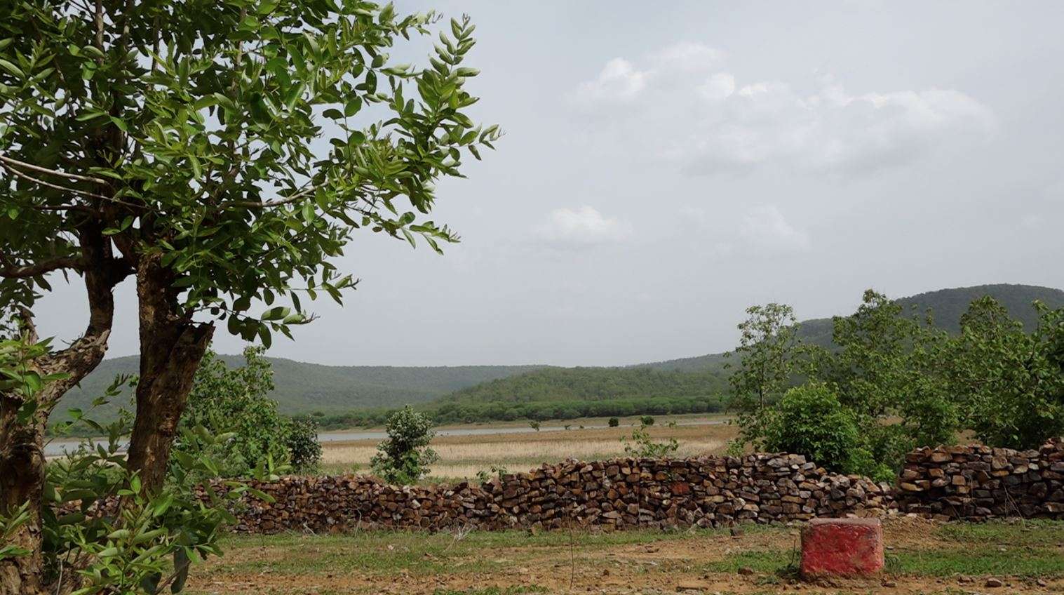 केन बेतवा परियोजना के मुख्य बांध ढोढऩ के लिए प्रस्तावित स्थल