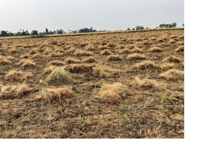 VIDISHA जिले के 23 हजार से ज्यादा किसानों की फसल बीमा राशि वापस