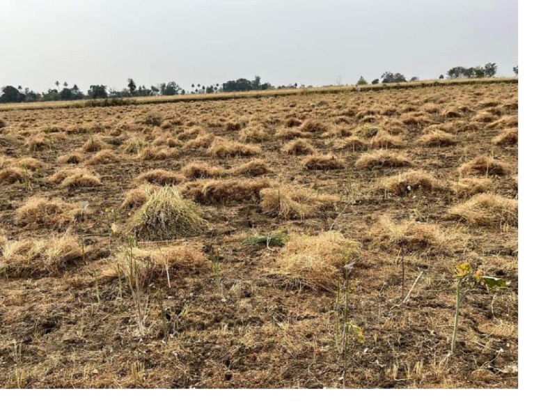 VIDISHA जिले के 23 हजार से ज्यादा किसानों की फसल बीमा राशि वापस