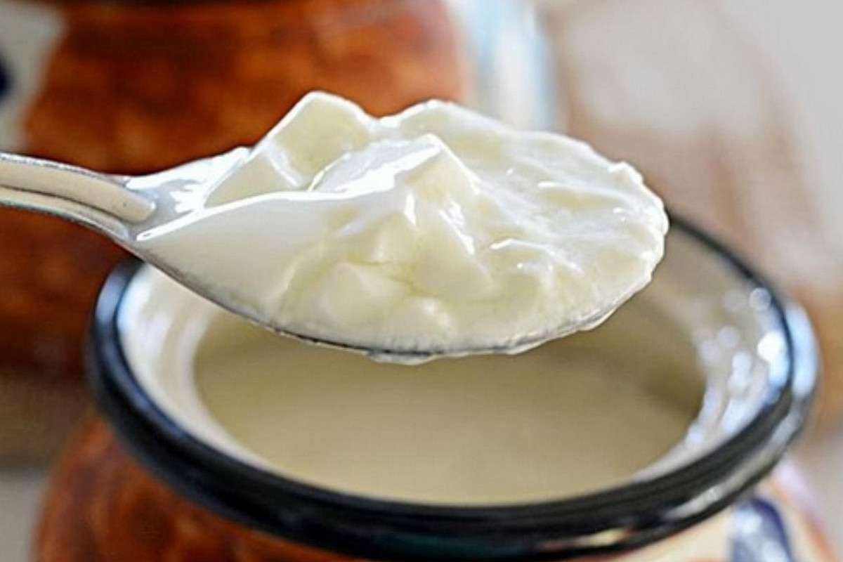 curd.jpg