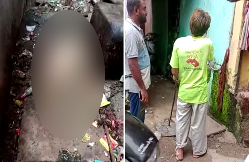 street dog beaten to die case