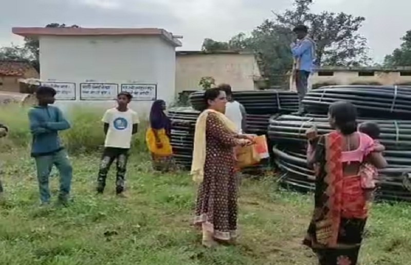 5 year old girl died due to bee attack in Gaurela Pendra Marwahi