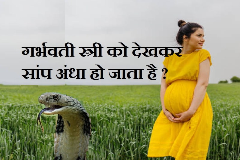 pregnant_woman_and_snake.jpg